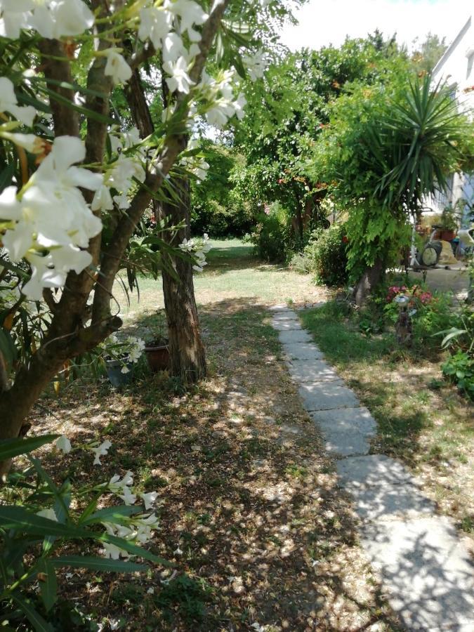 Chambre D'Hote - Mas Le Barret Арль Экстерьер фото